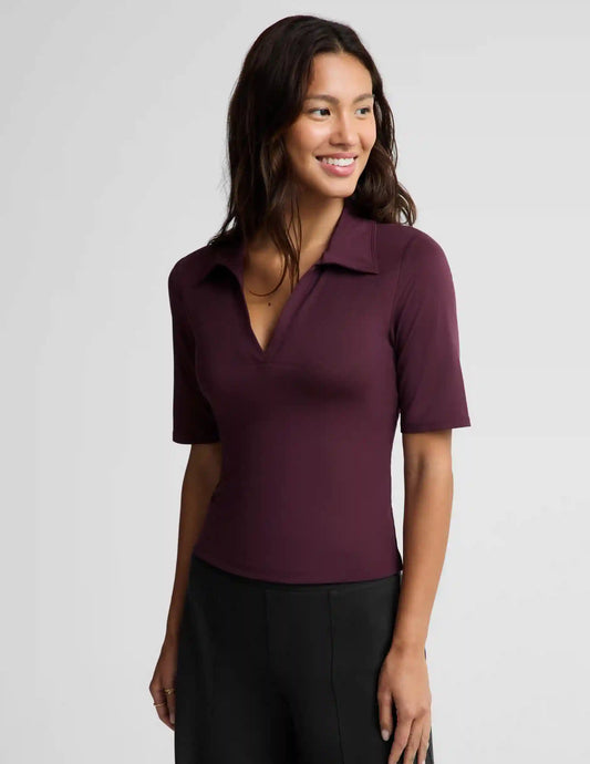 Sport Active V-Neck Polo